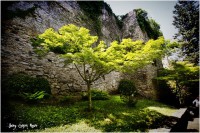 /album/fotogaleria-girona/mg-8984-640x480-jpg/